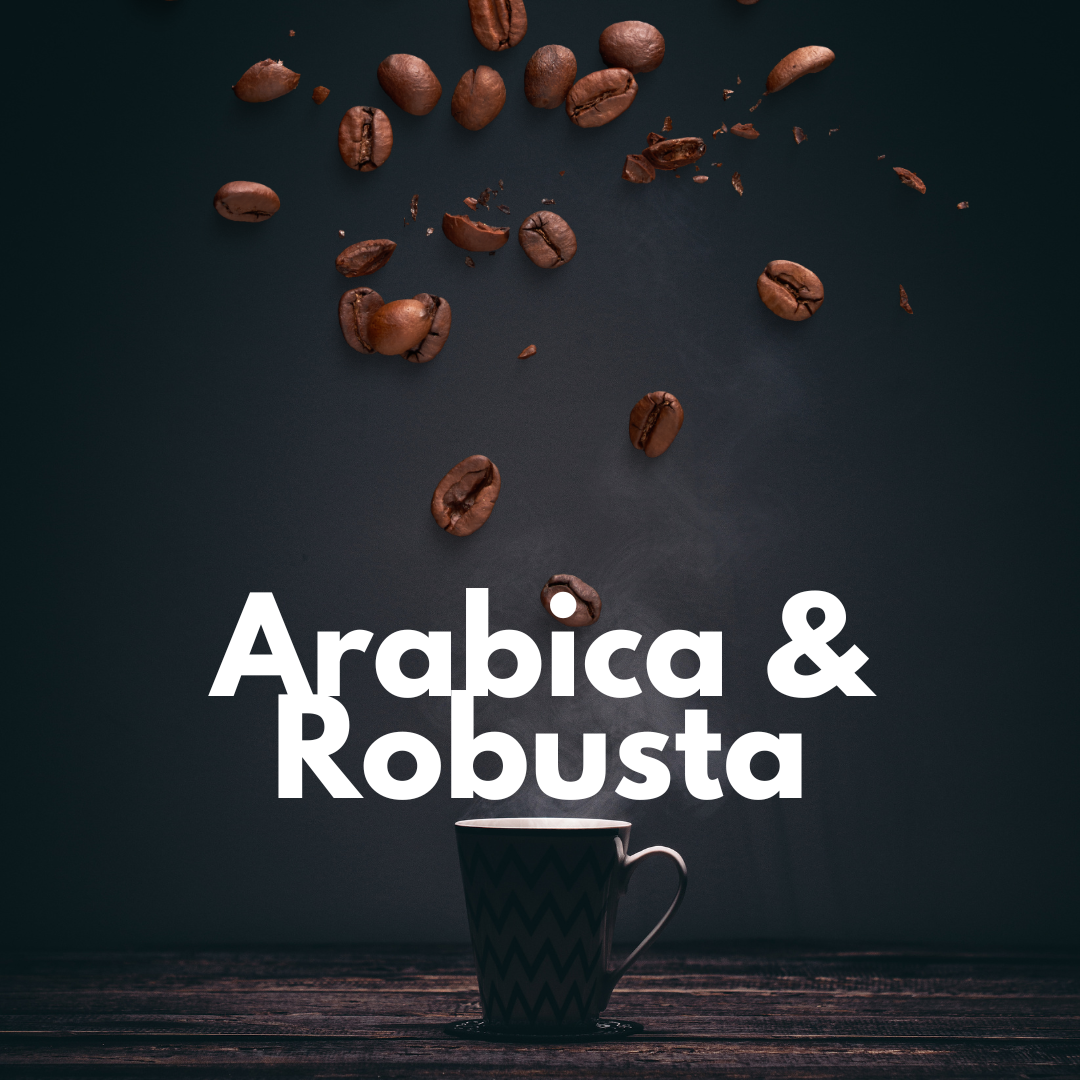 Infographic of whole coffee beans, arabica and robusta
